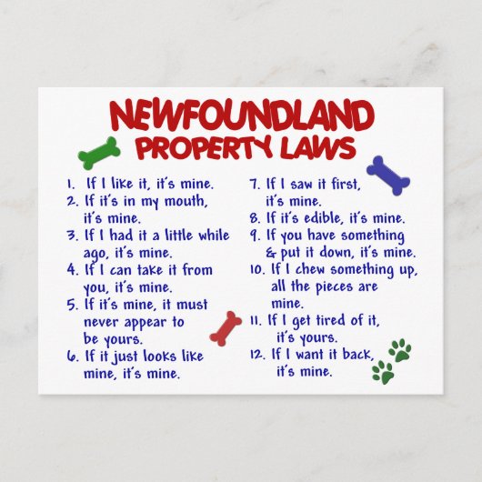 ニューファンドランド財産法2 ポストカード (正面)