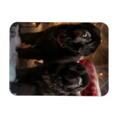 ニューファンドランド雪そりクリスマスデコール マグネット (横)