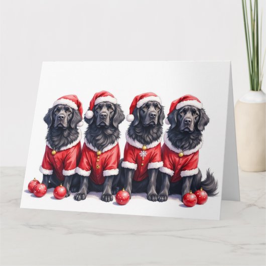 ニューファンドランド クリスマスドレス サンタ帽子 カード (正面)