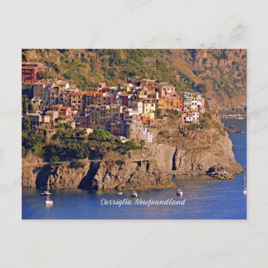 ニューファンドランド・コリリア ポストカード (正面)