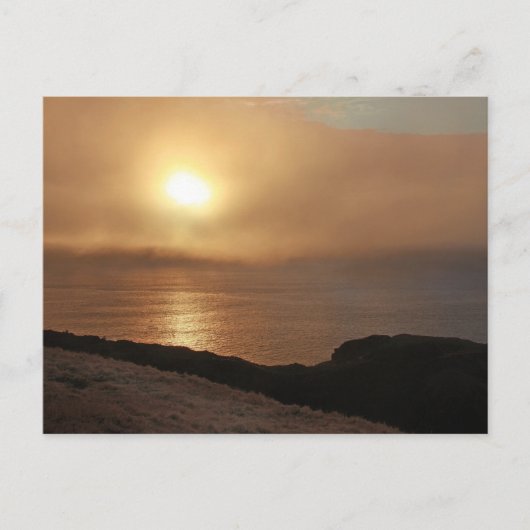 ニューファンドランド・シグナルヒル ポストカード (正面)