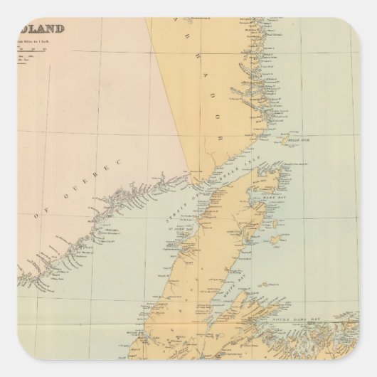 ニューファンドランド スクエアシール (正面)