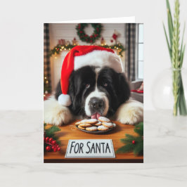 ニューファンドランド・ドッグ・クッキーはクリスマスカードを舐める シーズンカード