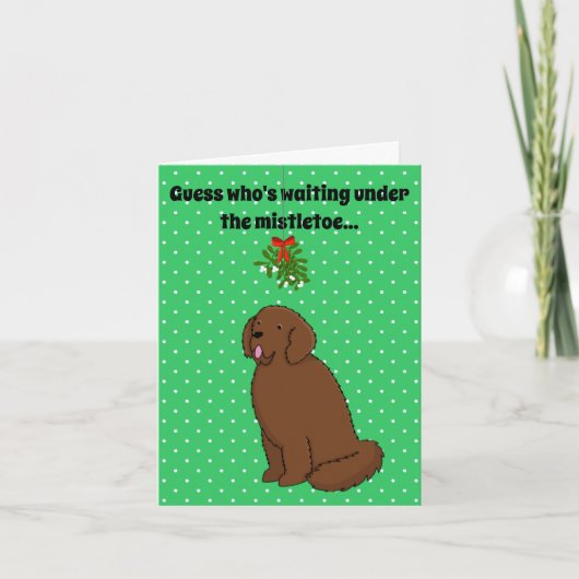 ニューファンドランド·ドッグ·クリスマス カード (正面)