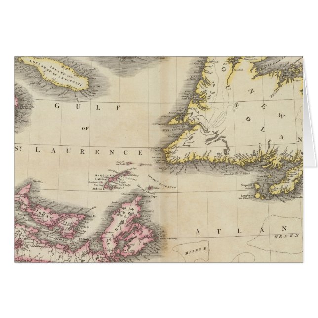 ニューファンドランド·ノヴァスコシア (正面横)