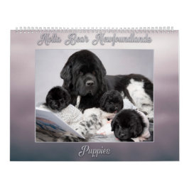 ニューファンドランド・パピー・イヤー Notta Bear カレンダー