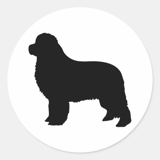 ニューファンドランド ラウンドシール (正面)