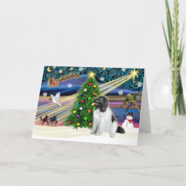 ニューファンドランド（ランドシーア）とクリスマスの魔法 シーズンカード