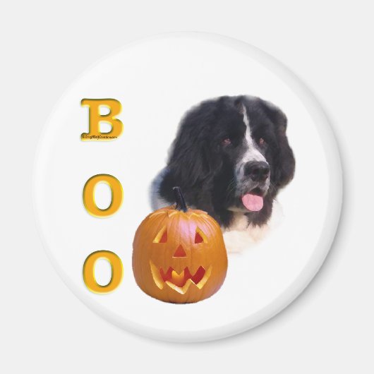 ニューファンドランド(土地所有者)ハロウィーンブー マグネット (正面)
