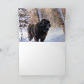 ニューファンドランド、雪のクリスマス カード (内部)