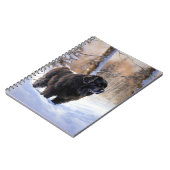 ニューファンドランド、雪のクリスマス ノートブック (左側)