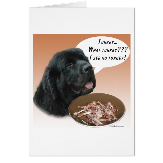 ニューファンドランド(blk)トルコ (正面)