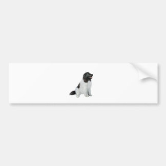 ニューファンドランド(C) – ランドセル#1 バンパーステッカー