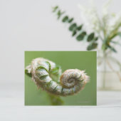 ニューファーンブランチ ポストカード (スタンド正面)