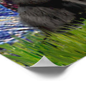 ニューフィートリオ – スターリーナイト ポスター (角)