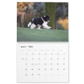 ニューフィーベビー カレンダー (3月 2026)