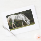 ニューフォレストポニーの放牧 長方形シール (封筒)