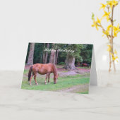 ニューフォレストポニー – 誕生日カード カード (黄色い花)
