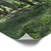 ニューフォレストランドスケープイングランド ポスター (角)