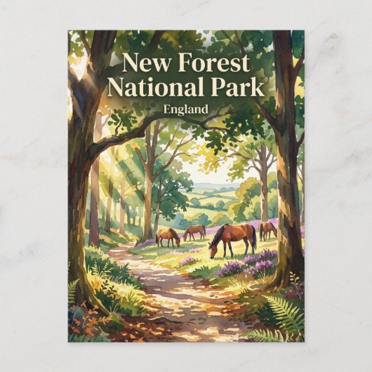 ニューフォレスト国立公園 イギリス ポストカード (正面)