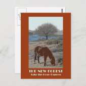 ニューフォレスト1920年代スタイルレトロポストカード ポストカード (正面/裏面)