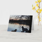 ニューフォンランド犬の挨拶 カード (黄色い花)