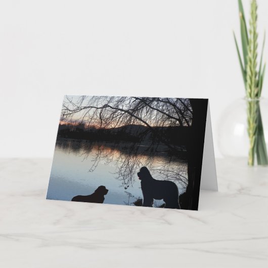 ニューフォンランド犬の挨拶 カード (正面)