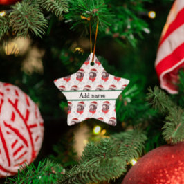 ニューフューポー犬がクリスマススターを育てる セラミックオーナメント