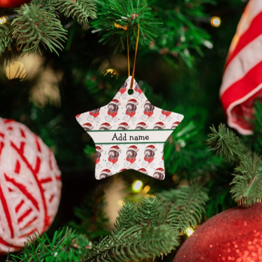 ニューフューポー犬がクリスマススターを育てる セラミックオーナメント