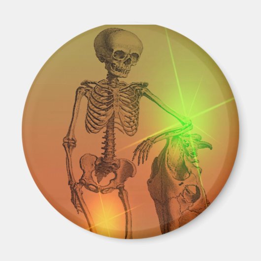 ニューフ マグネット (正面)