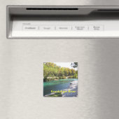 ニューブラウンフェルスグアダルーペ川磁石 マグネット (インサイチュ (食洗機))