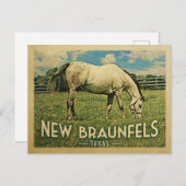 ニューブラウンフェルステキサス州ホースファーム – ヴィンテージトラベル ポストカード (正面/裏面)