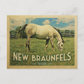 ニューブラウンフェルステキサス州ホースファーム – ヴィンテージトラベル ポストカード (正面)