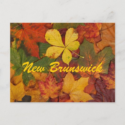 ニューブランズウィック紅葉はがき ポストカード (正面)