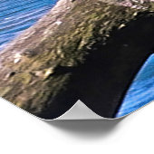 ニュープリマスの鵜 ポスター (角)