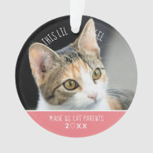 ニューペット初めてのクリスマスキャットキッテンフォトホリデー