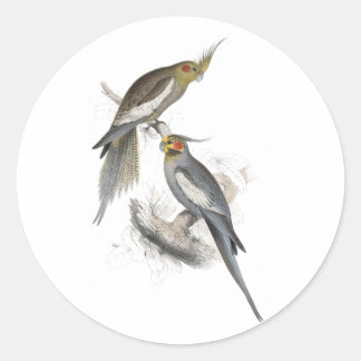 ニューホランドパラケートバイエドワード・リア ラウンドシール