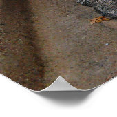 ニューホワイトコルベット車の幽霊レースストライプ ポスター (角)