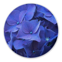 ニューポートの青のノブ