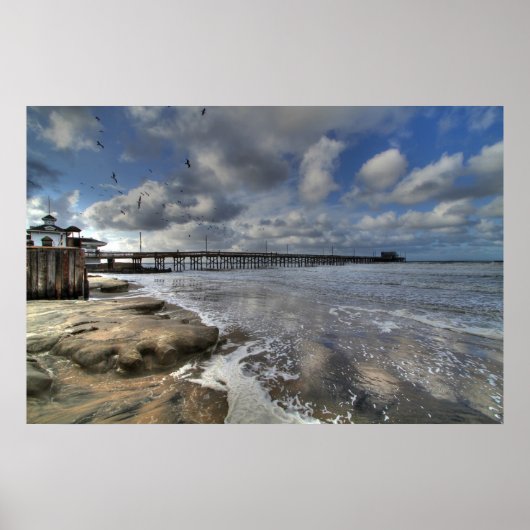 ニューポートビーチCa ポスター (正面)