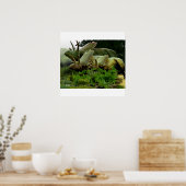 ニューメキシコからペンタセラトプ ポスター (キッチン)