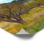 ニューメキシコのアップルオーチャード開花 ポスター (角)