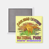 ニューメキシコのカールスバッド・カーヴァンス国立公園 マグネット (正面/裏面)