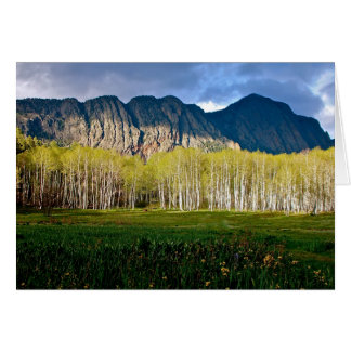 ニューメキシコのブラゾス川