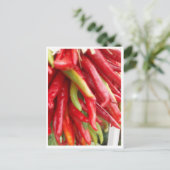ニューメキシコの赤いチリ ポストカード (スタンド正面)