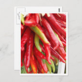 ニューメキシコの赤いチリ ポストカード (正面/裏面)