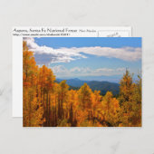 ニューメキシコの《植物》アスペン ポストカード (正面/裏面)