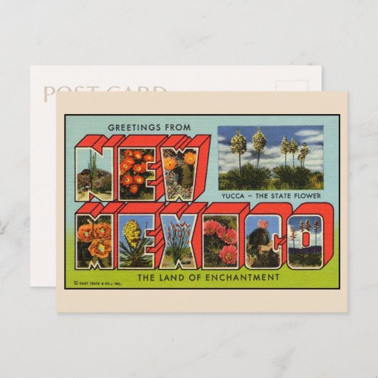 ニューメキシコはがき ポストカード (正面/裏面)