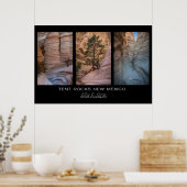 ニューメキシコテントロック ポスター (キッチン)