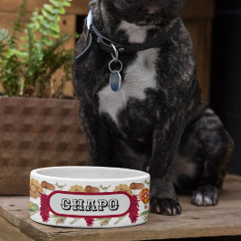 ニューメキシコレッドチリピノnツィアホットエアバルーン ボウル